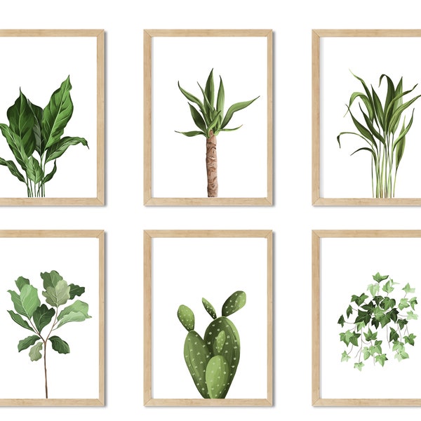 STRING OF PEARL Printable Wall Art, tropical plant Prints, greenery art, plant Art, Botanical  Decor, Digital Download watercolour