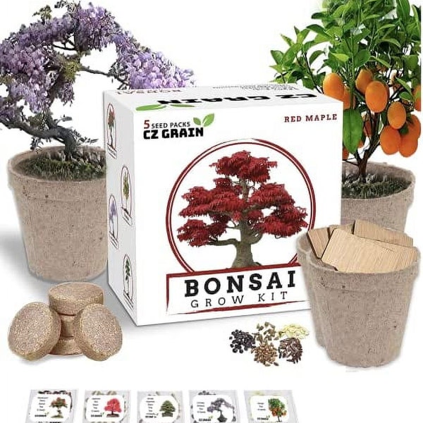 Grow 5 Stunning Bonsai Species with Our Complete Kit - Includes Bonsai Pots, Peat Pellets, and Tutorial Video!