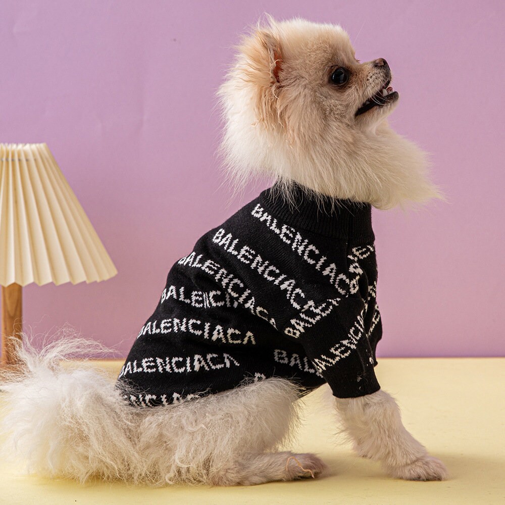 versace dog sweater