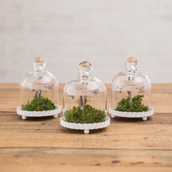 Cloche en verre avec base