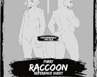 Cheap Raccoon Furry Anthro Base