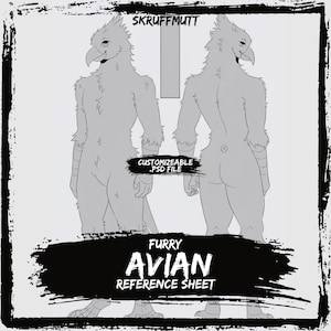 Cheap Furry Avian Anthro Base