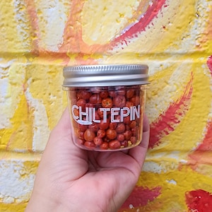 Chiltepin Chiles - Medium size