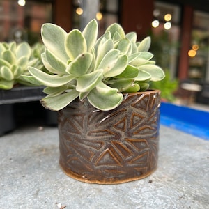 May include: A small succulent plant with green and white leaves in a brown ceramic pot with a geometric pattern.