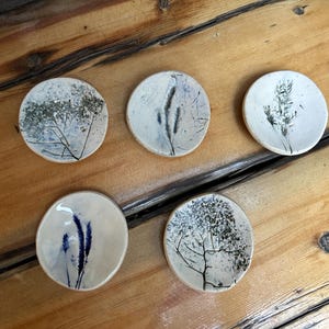 Pode incluir: Cinco pequenos pratos de cerâmica branca com uma variedade de desenhos botânicos prensados. Os pratos são redondos e têm uma borda ligeiramente elevada. Os desenhos incluem uma variedade de ervas e flores.