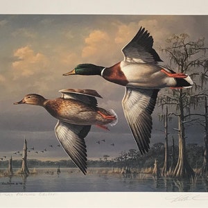 Vintage James Hautman Mallard Print: Signed & Numbered, Waterfowl