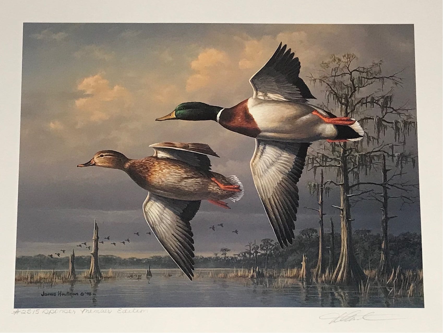 Vintage James Hautman Mallard Print: Signed & Numbered, Waterfowl