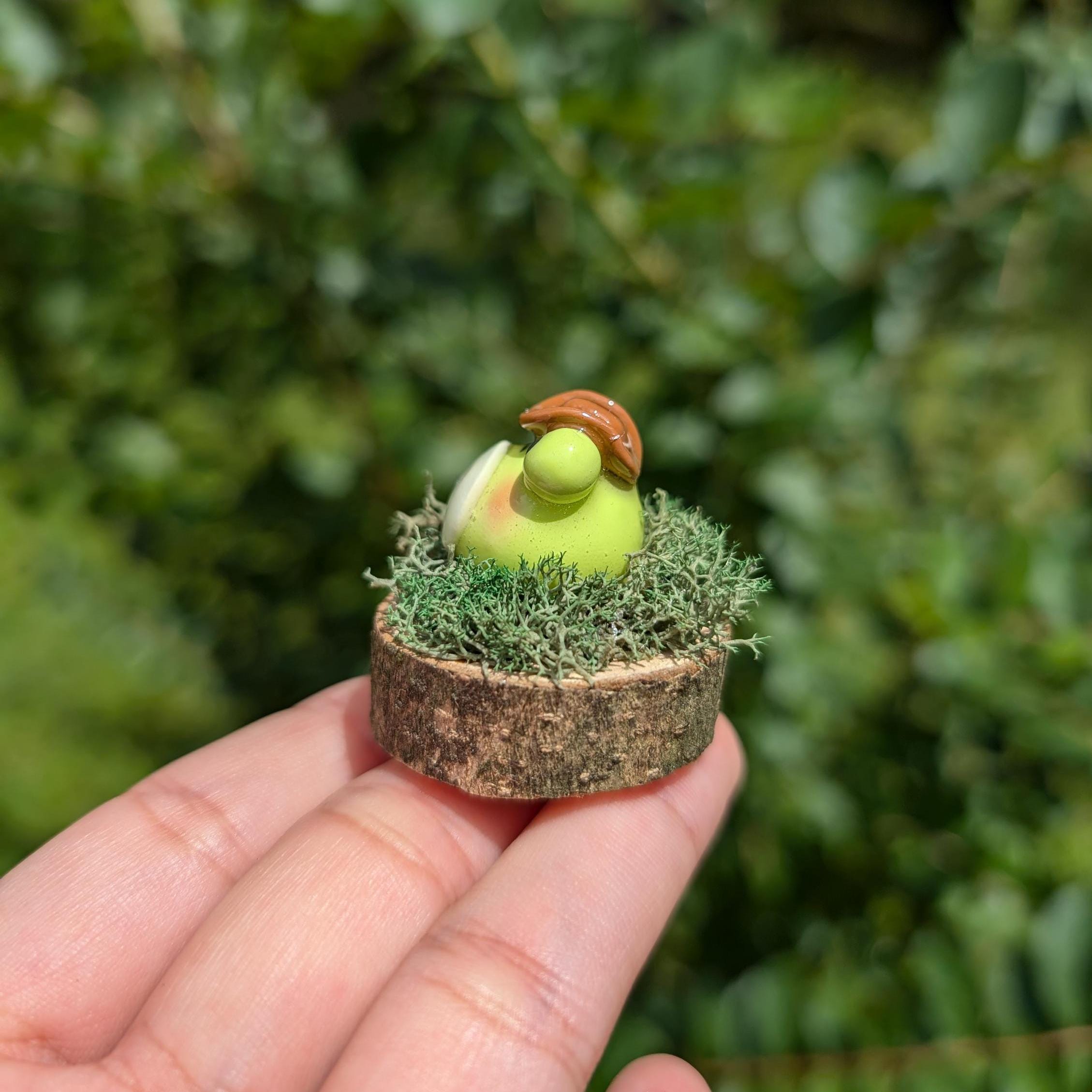 チャウテセイ にわとりのホチャホチャ Cowboy Frog Desk Buddy, Handmade Polymer Clay Figurine, Desk