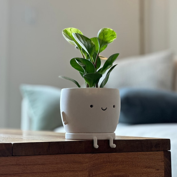 OLLI - Plant Pot with Drip Tray