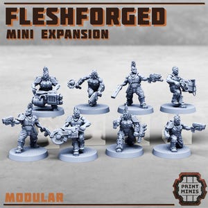Puede incluir: Un conjunto de figuras en miniatura grises, cada una posando con armas y equipo, sobre bases circulares. Las figuras son de la "FLESHFORGED MINI EXPANSION" y están etiquetadas como "MODULAR". El logotipo de "PAINT MINIS" está en la esquina inferior derecha.