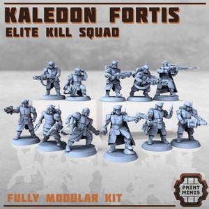 Kaledon Fortis - Kill Squad (10) / Proxies / Wargames / 28mm / Modular