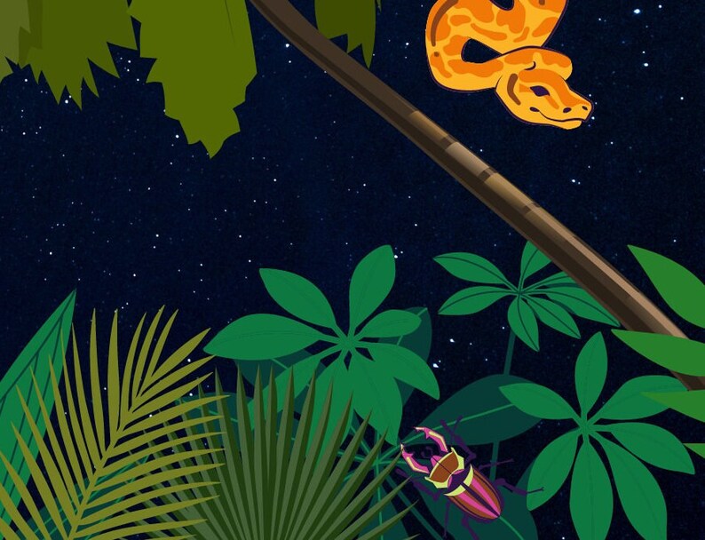 Animated Jungle Background for Zoom, Google Meet, Microsoft Teams