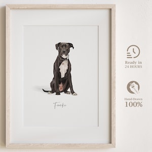 Aangepaste huisdierportretten met huisdierfoto, hondenportretten, kattenportretten, kunst huisdier tekening, aquarel huisdier portret, huisdier minnaar cadeau, huisdier gedenkteken
