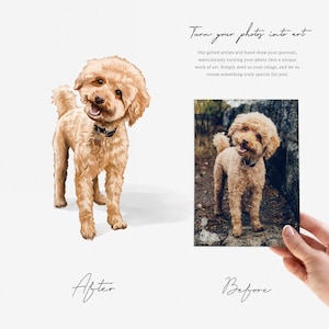 May include: Before and after image of a dog portrait. The before image shows a brown and white poodle standing on a path. The after image shows a hand-drawn illustration of the poodle in a more stylized, cartoon-like style.