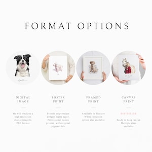 May include: Four different options for purchasing a custom pet portrait: digital image, poster print, framed print, and canvas print. The canvas print option is highlighted as a bestseller.