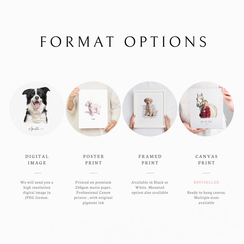 May include: Four different options for purchasing a custom pet portrait: digital image, poster print, framed print, and canvas print. The canvas print option is highlighted as a bestseller.