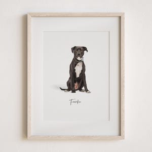 May include: A framed photo of a black and white dog sitting in front of a white background. The dog is wearing a black collar and the photo is titled "Frankie".