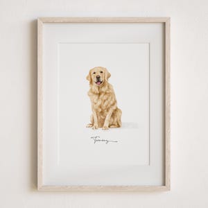 May include: A framed illustration of a golden retriever dog sitting with a white background. The dog is looking directly at the viewer. The signature "Tommy" is written in black ink below the dog.