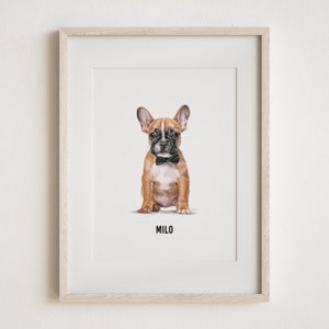 May include: A framed print of a brown and black French Bulldog puppy wearing a black bow tie. The puppy is sitting and looking at the camera. The print is titled "Milo".