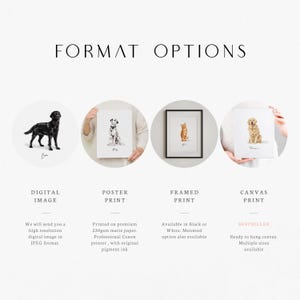 May include: Four different options for purchasing a custom pet portrait: digital image, poster print, framed print, and canvas print. The image shows a black Labrador, a Dalmatian, a cat, and a golden retriever.