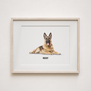 May include: A framed print of a German Shepherd dog named "Rocky". The dog is lying down and looking directly at the viewer with its tongue sticking out.
