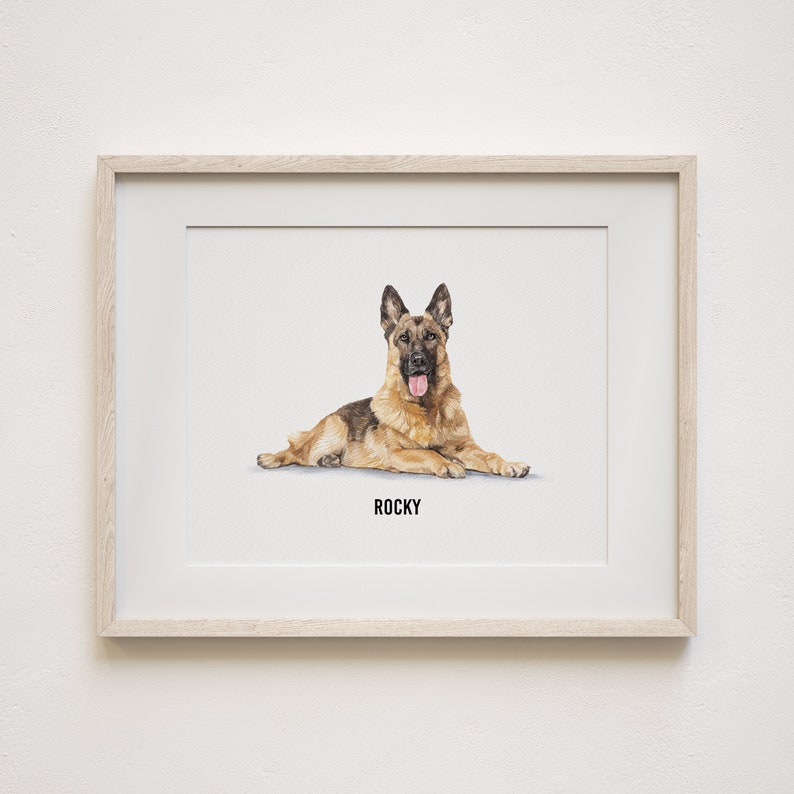May include: A framed print of a German Shepherd dog named "Rocky". The dog is lying down and looking directly at the viewer with its tongue sticking out.