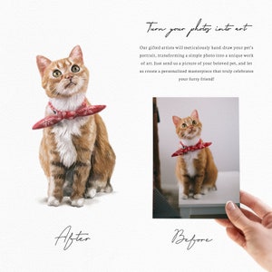 May include: A before and after image showing a hand-drawn watercolor portrait of a cat wearing a red bandana. The original photo of the cat is shown in the before image.