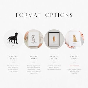 May include: Image showcasing format options for pet portraits. Includes digital image, poster print, framed print, and canvas print options. Each option features a different pet illustration: a black Labrador, a Dalmatian, a ginger cat, and a golden retriever.