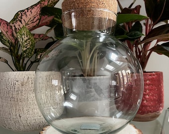 Large Terrarium Glass Vessel