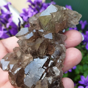 Amas de Quartz Fumé Cathédrale Lodolite / Quartz Chaman / Quartz Jardin / Quartz Paysage / Brésil MG / 120g / 7,8cm