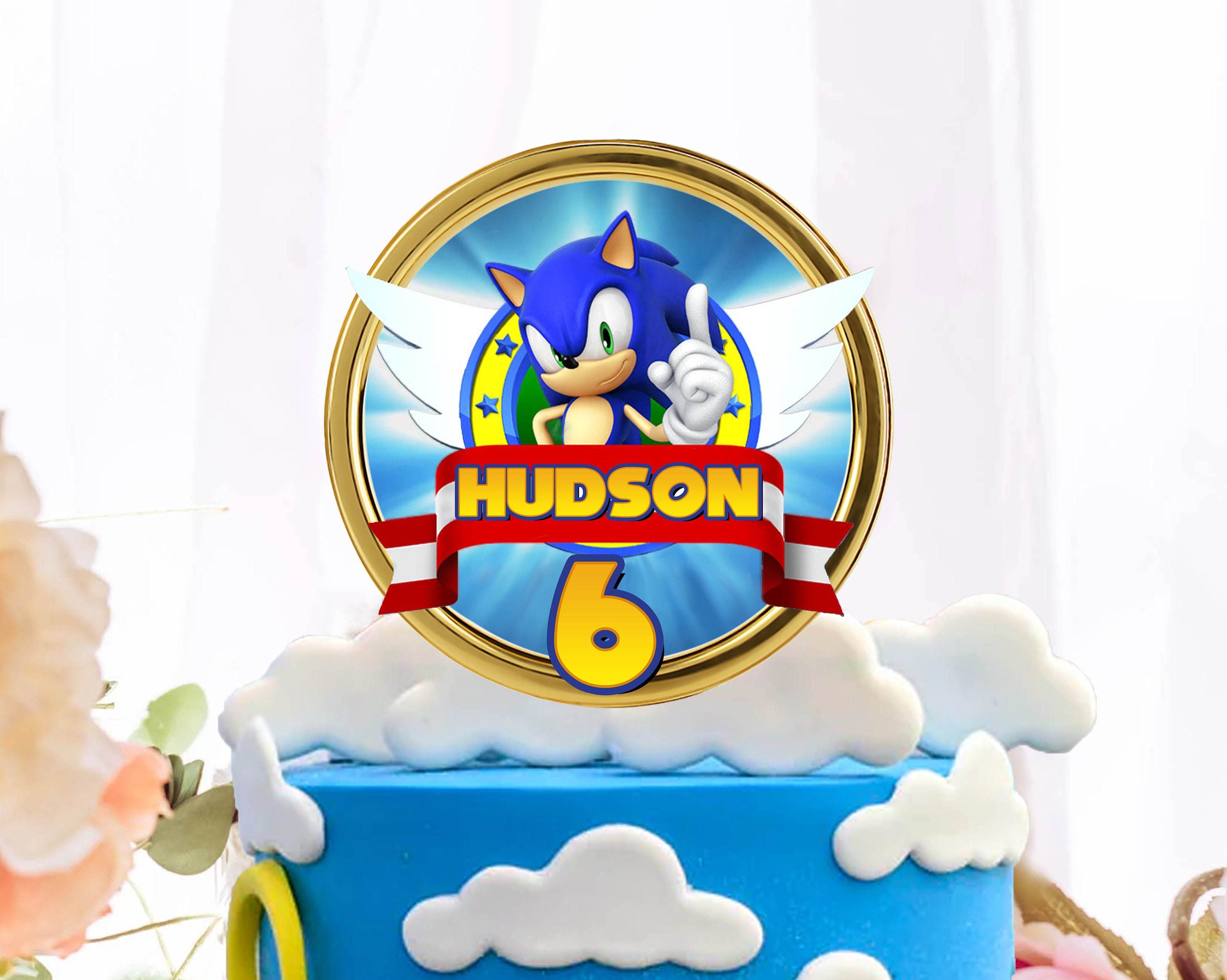 Shaker Cake Topper Sonic / Sonic Cake Topper / Sonic the Hedgehog