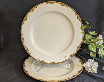 Vintage Cauldon Gold Gilt Scrolled Border Dinner Plates. 9.7/8"