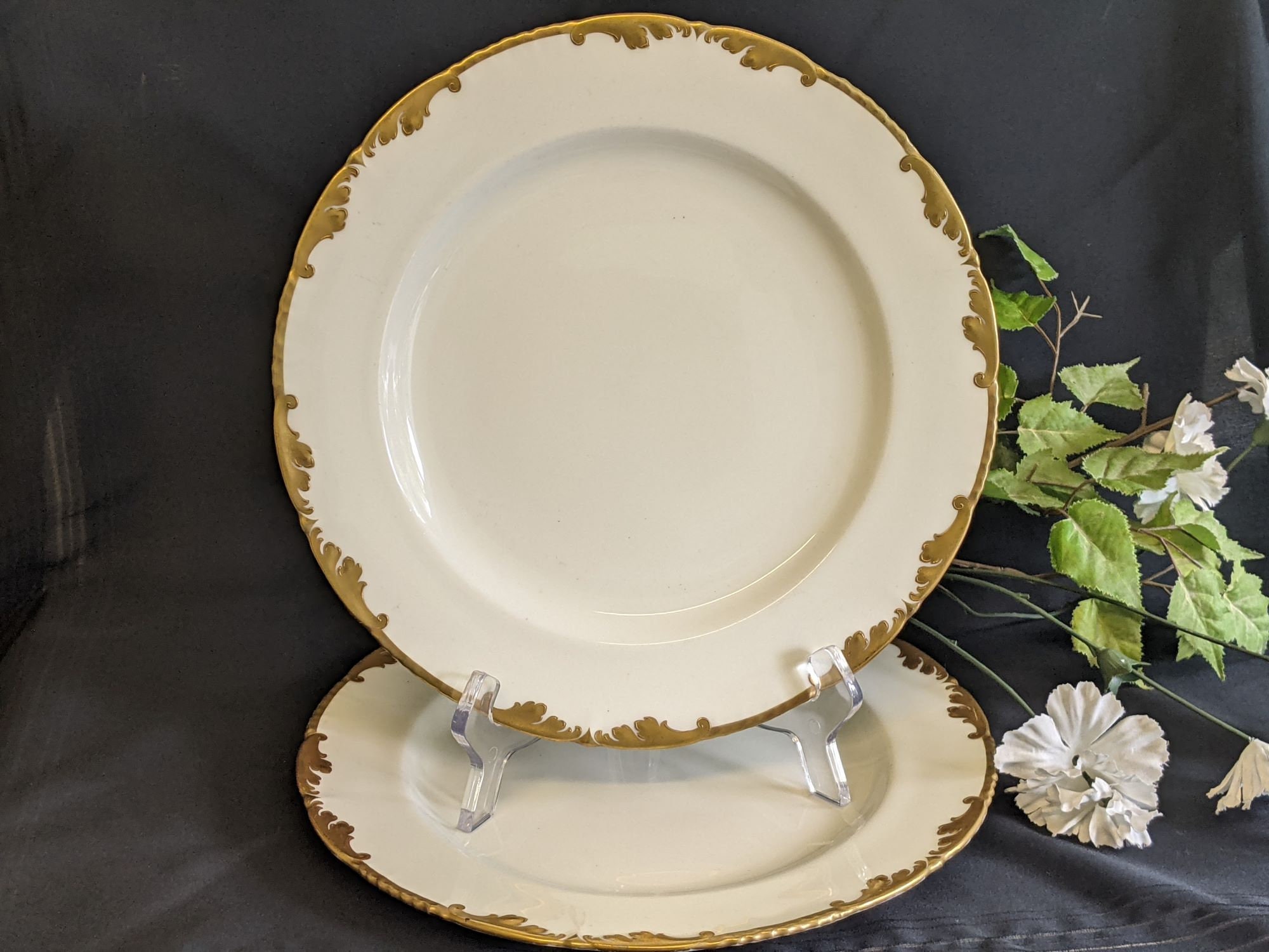 Royal cauldon plates - Etsy 日本