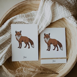 Op de afbeelding: Twee kaarten met illustraties van een bruine vos met een witte borst en staartpunt. Het woord "fox" staat onder de afbeelding op elke kaart. De kaarten liggen in een houten kom met een witte doek.