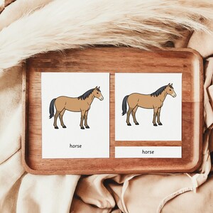 May include: Two cards with illustrations of a horse, each with the word "horse" below. The horse is brown with a black mane and tail. The cards are on a wooden tray, with a beige fabric and dried plants in the background.