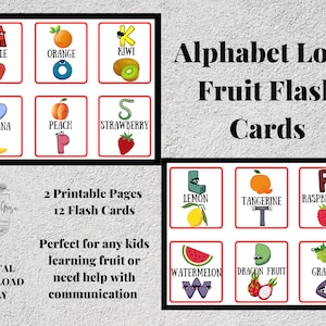 Alphabet Lore Themed Traceable Educational Cards All Ages,homeschool  Printables, Playroom, Classroom, Learning Cards,non Verbal, Montessori 