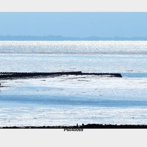 Wadden Sea - Canvas Print