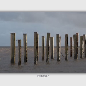Schlüttsiel Harbour - Canvas Print