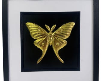 Luna Moth Gold or Silver Leaf Framed 3D Wall Art – Symbol of Renewal & Transformation