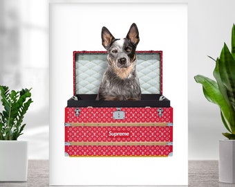 Custom Pet Portrait, Royal pet portrait, King Cat, Queen Cat, Wall Pet Portrait, Regal Dog Portrait, Custom Art From Photo, Gift For Dog Mom