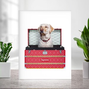 Custom Pet Portrait, Royal pet portrait, King Cat, Queen Cat, Wall Pet Portrait, Regal Dog Portrait, Custom Art From Photo, Gift For Dog Mom