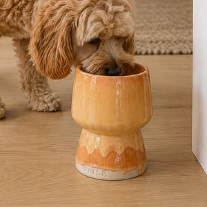 May include: A light orange ceramic pet bowl with a pedestal base and a glossy finish. The bowl features a distinct drip-like glaze pattern around the middle and the word WATER embossed in capital letters near the bottom edge of the base.