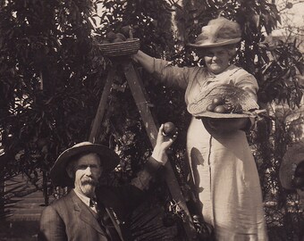 Postal fotográfica antigua (RPPC) - Recolección de fruta en Florida
