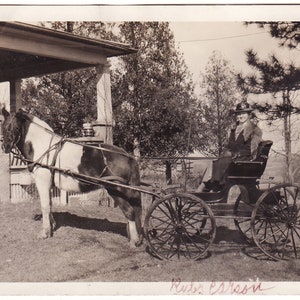 Antique Photo of Woman Driving Horse-Drawn Carriage, c. 1920s