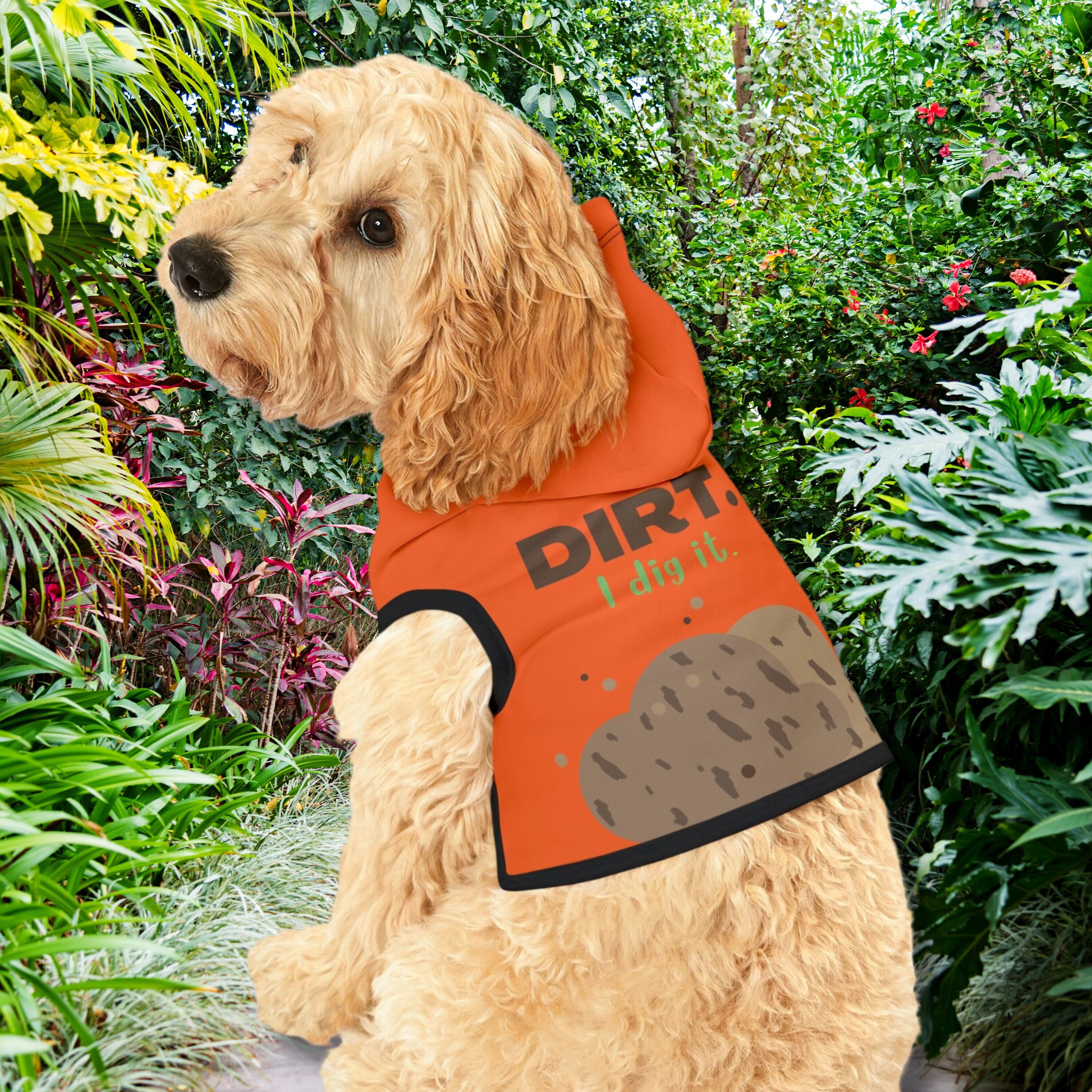 Sassy Dog Jacket Etsy UK