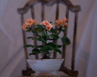 Dollhouse miniatures Geranium