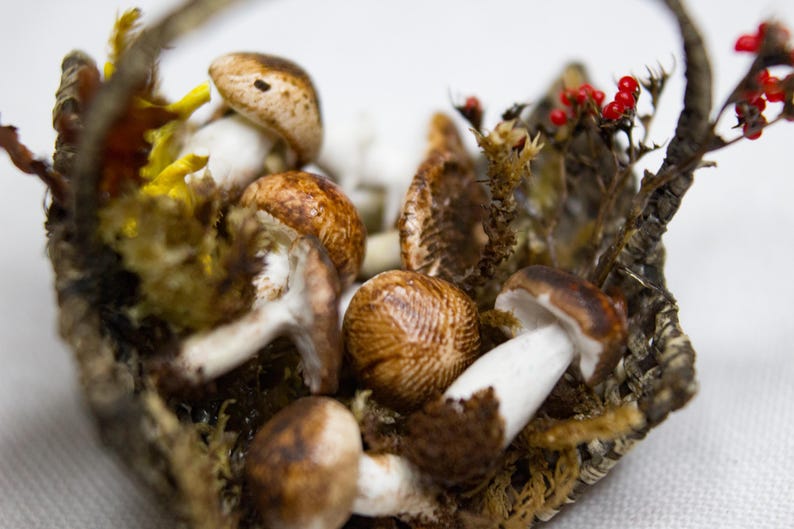 Champignons miniatures - Etsy France