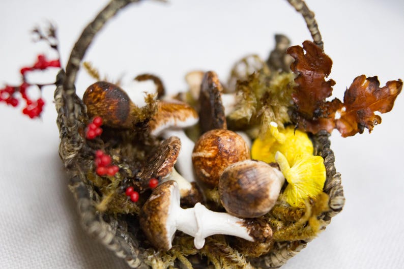 Champignons miniatures - Etsy France