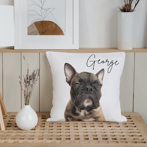 Pet replica clearance pillow