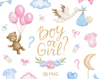 Gender Reveal Decorations Clipart, Watercolor balloons clipart, for Boy and Girl, Nursery newborn clipart, Stork carrying baby